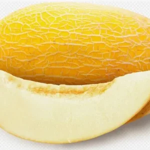 Melon