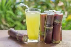 Sugarcane